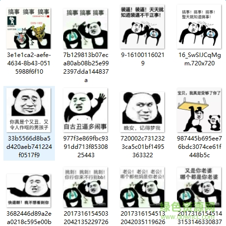 金館長熊貓打人表情包 高清全套 0