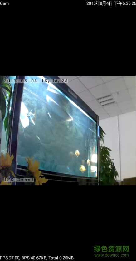 P2PLiveCam v1.6.6 安卓版 1