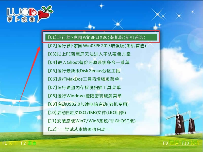 蘿卜U盤啟動(dòng)盤制作軟件 蘿卜U盤啟動(dòng)盤制作軟件