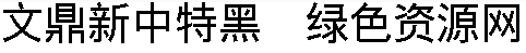 文鼎新中特黑