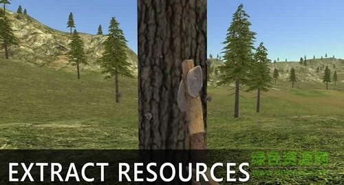 荒岛生存模拟3d/