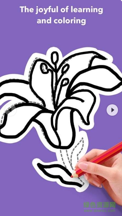 學(xué)畫花朵簡筆畫 v1.0.3 安卓版 0
