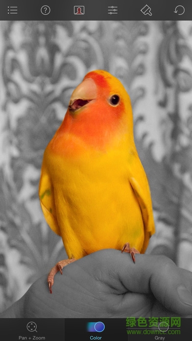 color splash color splash