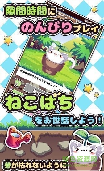 貓咪花盆(ねこばち！) v1.2 安卓中文版 2