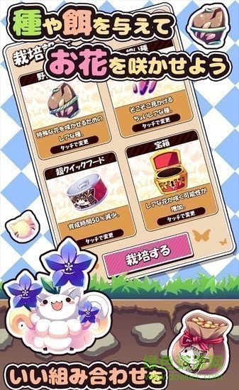 貓咪花盆(ねこばち！) v1.2 安卓中文版 1