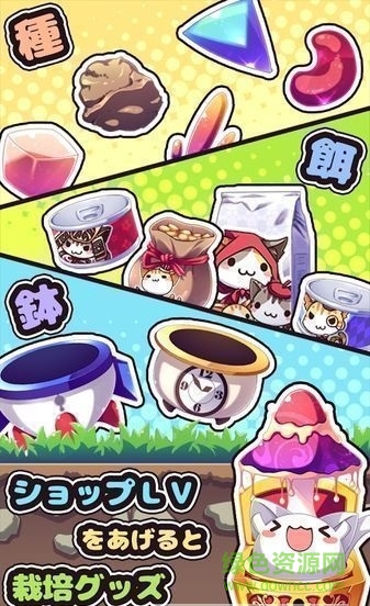 貓咪花盆(ねこばち！) v1.2 安卓中文版 0