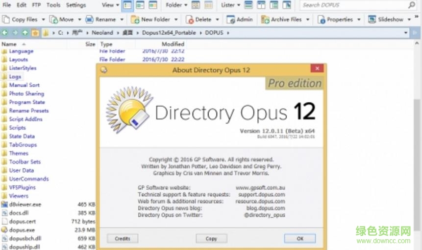 directory opus12綠色版 v12.5 免費版 0