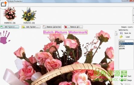 Batch Picture Protector(圖片批量加水印軟件) v6.5 中文版 0