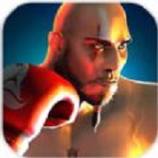 真正的拳擊3D(Free Boxing Round Combat)