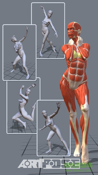 ArtPose Female女版 v1.2.2 安卓版0