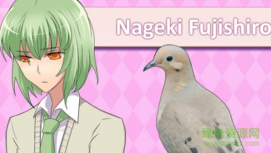 帥鴿男友游戲(hatoful boyfriend) 中文版_附攻略 1