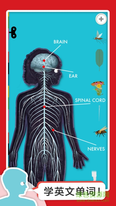 人體探秘 v1.0 安卓免費(fèi)版 0