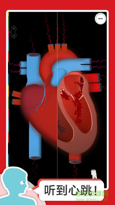 人體探秘 v1.0 安卓免費(fèi)版 2