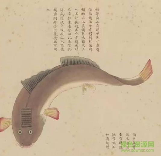 故宮海錯(cuò)圖電子版  0