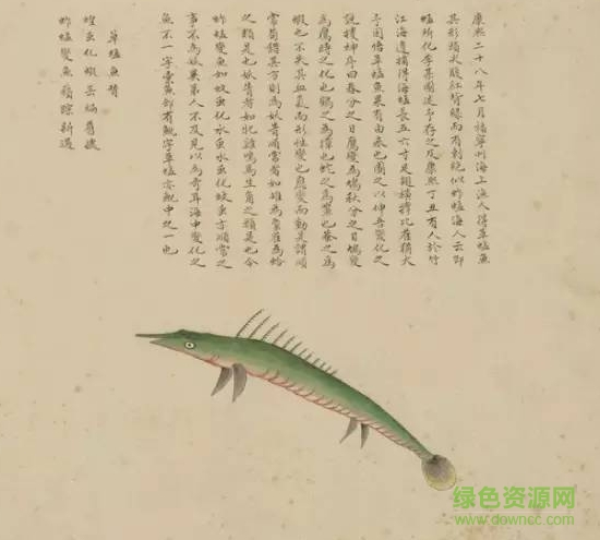 清宮海錯(cuò)圖pdf