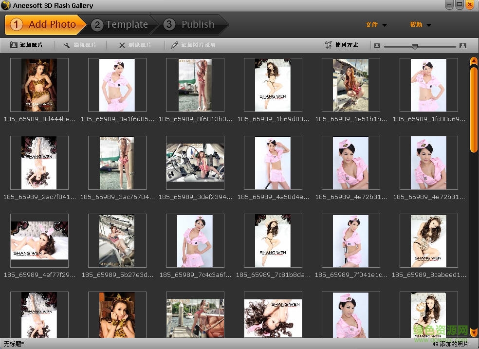 3D Flash相冊制作軟件(Aneesoft 3D Flash Gallery) v2.4 中文綠色版 0