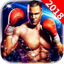 3d真實拳擊蘋果版