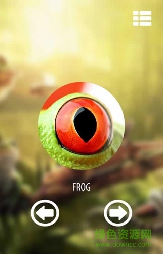 视觉动物模拟器手机版(Vision animal simulator) v1.2 安卓版1