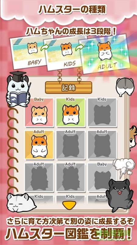 倉(cāng)鼠物語(yǔ)手機(jī)版