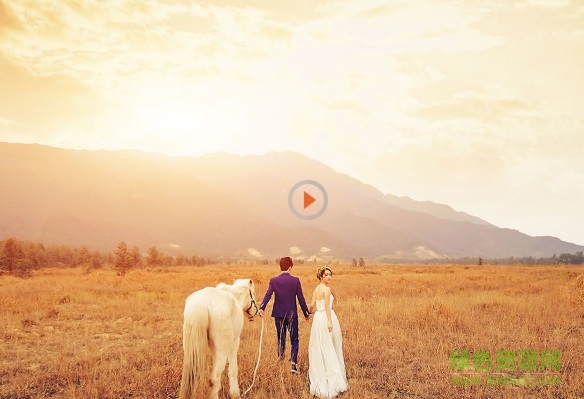 開貝調(diào)色軟件x8