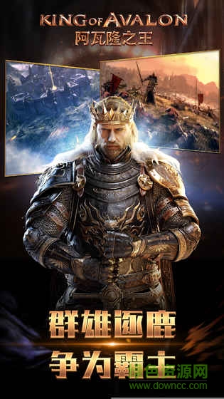 阿瓦隆之王果盤版/