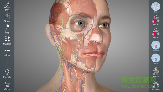 ess.anatomy5安卓版