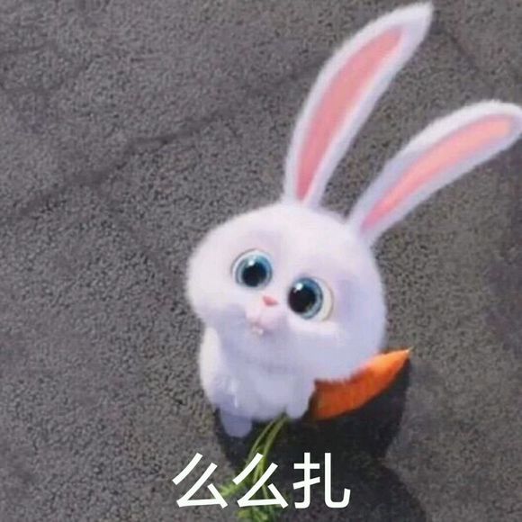 愛寵大機(jī)密小白表情包