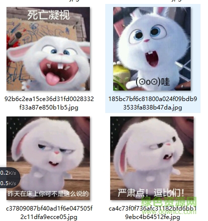 愛寵大機密小白表情包 gif動圖版 0