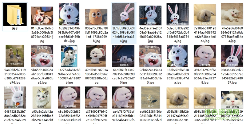 愛寵大機密兔子表情包