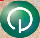 青橙量筋合一免狗版