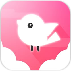 光之鸟去手游(Light Bird)