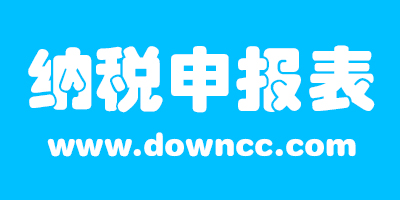 納稅申報(bào)表