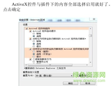 大華監(jiān)控web service插件  0