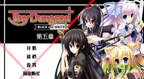 黑白羽翼第五章