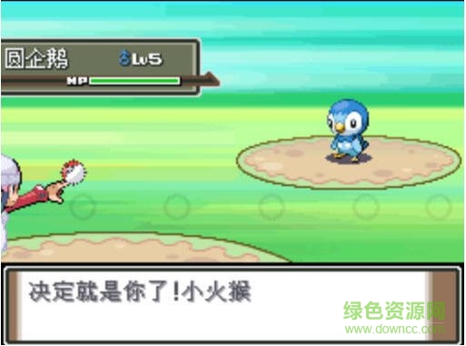 口袋妖怪黑白金手指代碼大全 中文版 0