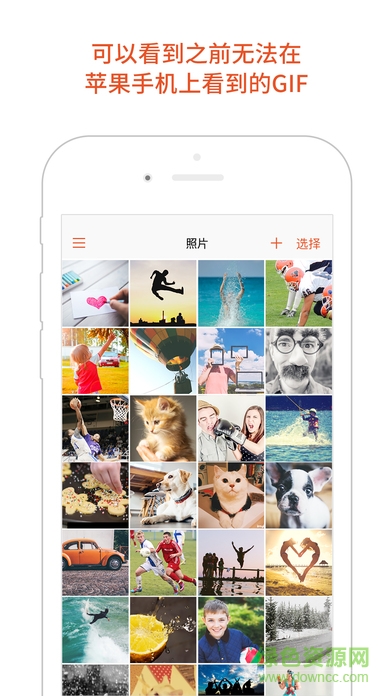 GIF Viewer(动态图相册) v3.2.2 安卓版0