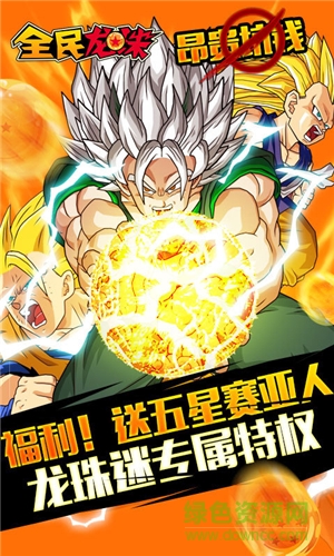 全民龍珠bt版