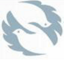 灰鴿子黑防專版正式版