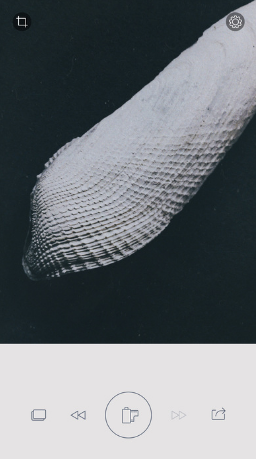 RNI Flashback ios版 v2.0.26 iphone版 0