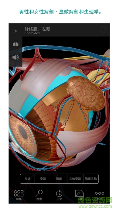 2020 visible body中文正式版 v2020.0.71 安卓漢化版 3
