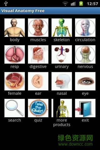 visual body(Visual Anatomy Free) v5.0 安卓版 0