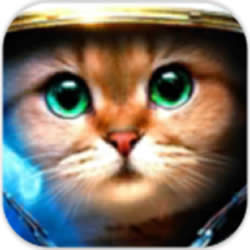 武裝貓咪無(wú)限金幣版(Armored Kitten)