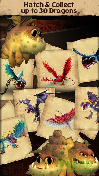 馴龍高手博克島的崛起最新版 v1.41.16 安卓版 0