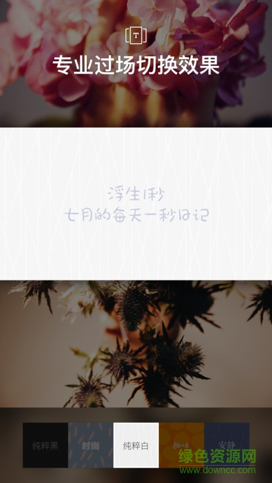 貓餅(視頻編輯)3