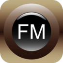 堅(jiān)餅fm(汽車音樂控制)