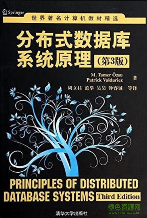 分布式數(shù)據(jù)庫系統(tǒng)原理pdf