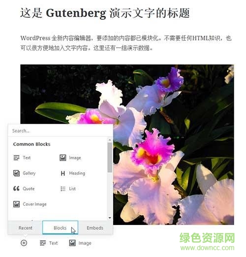 Gutenberg編輯器插件 v0.3.0 官方版 0
