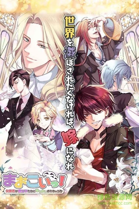 魔戀被魔界王子們追求的女勇者漢化