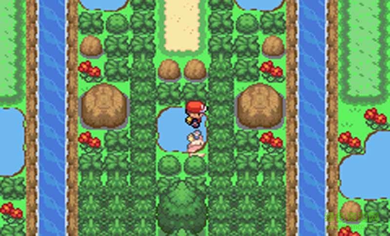 口袋妖怪黃金 v1.1 安卓版 0