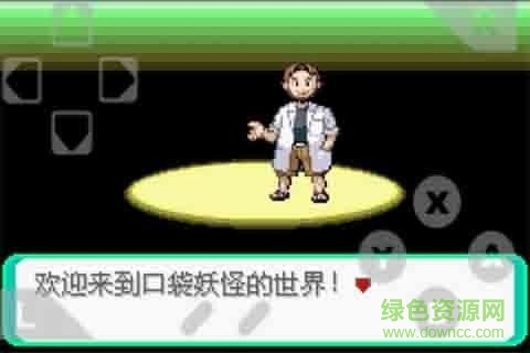 口袋妖怪永恒之炎xyz血皇影移植版 v1.0 安卓版 0
